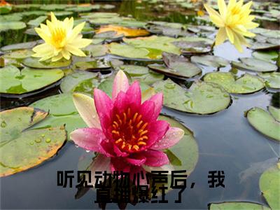 明音江泽（听见动物心声后，我直播爆红了）全文免费阅读无弹窗大结局_听见动物心声后，我直播爆红了最新章节列表（明音江泽）