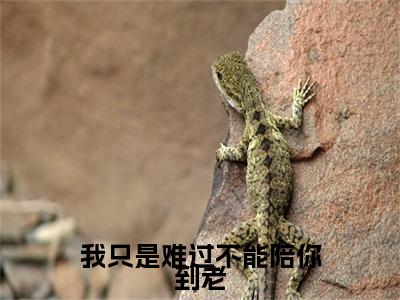 我只是难过不能陪你到老（薄时沉迟知鸢）全文免费阅读_我只是难过不能陪你到老小说最新章节列表笔趣阁