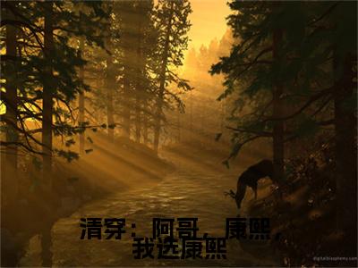 清穿：阿哥，康熙，我选康熙全集小说完整版大结局_明珠完结版在线阅读