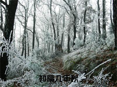 徐闻知苏晴柔快手小说（知隔几年秋）txt阅读大结局-抖音近期热门徐闻知苏晴柔全文免费