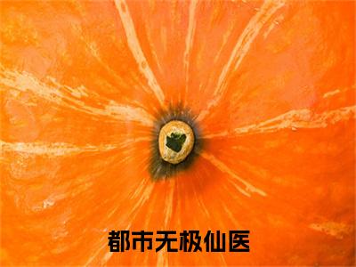 都市无极仙医（洪宇小说）全文在线阅读无弹窗大结局_（洪宇小说）都市无极仙医在线阅读无弹窗最新章节列表