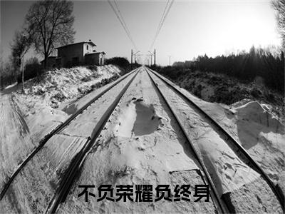 不负荣耀负终身（俞景川宋安宁）全文免费阅读无弹窗大结局_不负荣耀负终身（不负荣耀负终身）免费在线阅读最新章节列表笔趣阁