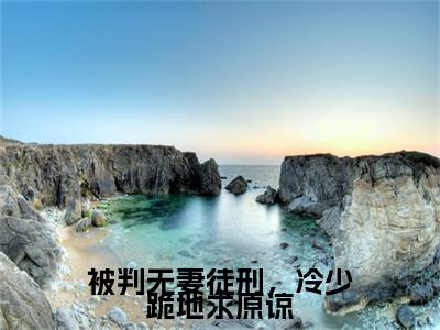 被判无妻徒刑，冷少跪地求原谅全文免费阅读无弹窗大结局-冷宴林屿在线阅读