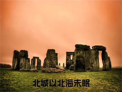 主角是陆京泽林雨瓷的小说叫什么名字北城以北海未眠-完结版小说陆京泽林雨瓷