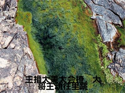 主播太美太会撩，大哥主动往里跳小说全文免费阅读（浦夕）全文免费阅读无弹窗大结局_主播太美太会撩，大哥主动往里跳最新章节列表