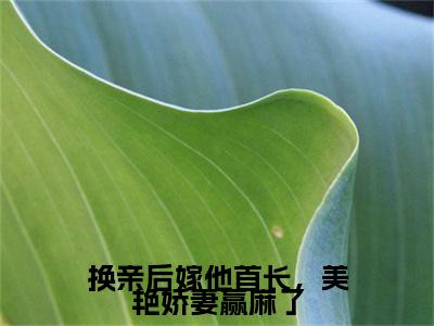 换亲后嫁他首长，美艳娇妻赢麻了（陆正骁沈叶柠）全文免费阅读无弹窗大结局_换亲后嫁他首长，美艳娇妻赢麻了最新章节列表（陆正骁沈叶柠）