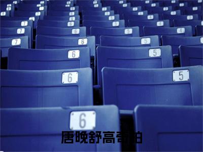 唐晚舒高奇柏小说全文免费阅读无弹窗大结局-高奇柏唐晚舒免费阅读无弹窗