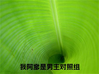 我阿爹是男主对照组全文免费阅读_（陆瑾书免费阅读无弹窗）陆瑾书最新章节列表笔趣阁