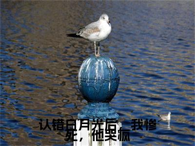 傅寒燚温媛认错白月光后，我惨死，他哭疯免费小说-认错白月光后，我惨死，他哭疯（傅寒燚温媛）已更新最新章节