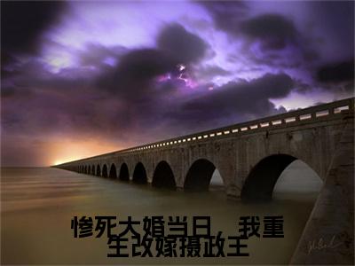 惨死大婚当日，我重生改嫁摄政王老书虫书荒推荐热点小说-惨死大婚当日，我重生改嫁摄政王燕王姜年全文免费阅读