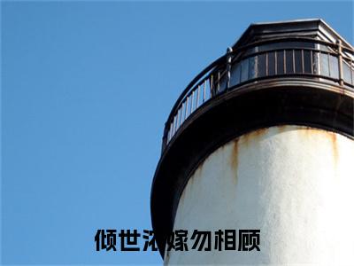 小说（倾世浓嫁勿相顾）_苏琼月萧晏辞全文阅读_倾世浓嫁勿相顾免费阅读大结局（免费+后续）