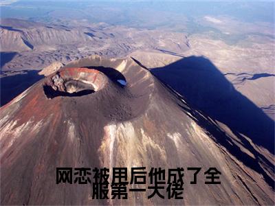 黎诗棠秦聿凛小说免费阅读-网恋被甩后他成了全服第一大佬完整版全文大结局