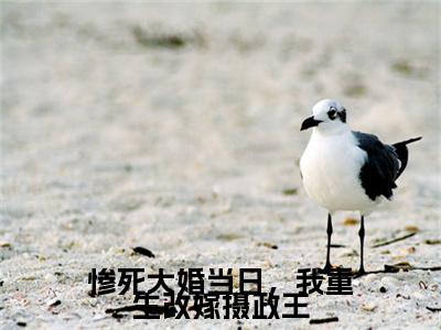 惨死大婚当日，我重生改嫁摄政王（姜年燕王）精彩小说-小说姜年燕王全文无删减版免费阅读