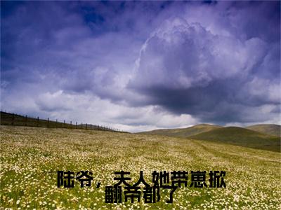 （陆爷，夫人她带崽掀翻帝都了）唐慕笙小说全文免费阅读无弹窗大结局_唐慕笙（陆爷，夫人她带崽掀翻帝都了）最新章节列表笔趣阁