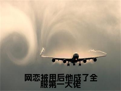 网恋被甩后他成了全服第一大佬（黎诗棠秦聿凛）全文免费阅读无弹窗大结局_网恋被甩后他成了全服第一大佬全文免费阅读最新章节列表