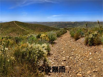 （陆时肆岑姿）今夜暴雨全文免费阅读无弹窗大结局_陆时肆岑姿（今夜暴雨）小说结局免费阅读