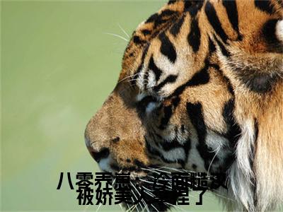 八零养崽：冷面糙汉被娇美人拿捏了小说全文免费阅读无弹窗大结局_白桃墨江深最新章节列表_笔趣阁