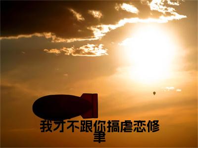 （我才不跟你搞虐恋修聿抖音小说）陆箴言修聿小说全文阅读免费