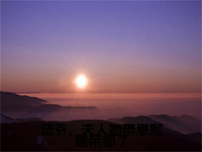 陆爷，夫人她带崽掀翻帝都了（唐慕笙）全文免费阅读_唐慕笙正版小说全文阅读