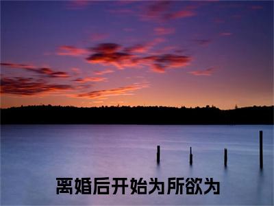 澹台朝宁初（离婚后开始为所欲为）全文免费阅读无弹窗大结局_澹台朝宁初免费阅读无弹窗最新章节列表_笔趣阁（澹台朝宁初）