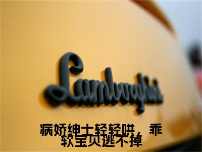病娇绅士轻轻哄，乖软宝贝逃不掉全网热搜（姜灼程司司）是什么小说，病娇绅士轻轻哄，乖软宝贝逃不掉免费阅读无弹窗
