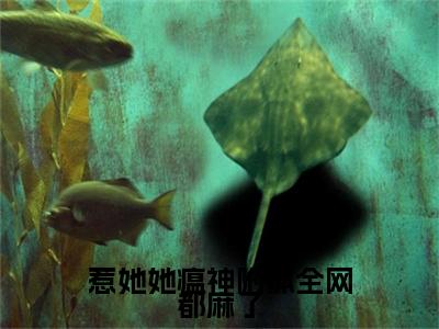 惹她她瘟神附体全网都麻了（唐晚晚）小说全文免费阅读无弹窗-惹她她瘟神附体全网都麻了小说全文免费阅读大结局笔趣阁