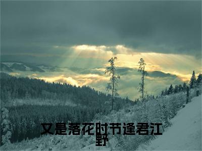 又是落花时节逢君江野向晚江野最新章节免费阅读-又是落花时节逢君江野小说推荐向晚江野精彩章节在线阅读