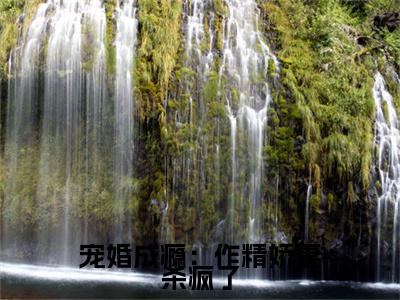 霍云笙洛桑（宠婚成瘾：作精娇妻杀疯了）小说全文免费阅读正版无弹窗宠婚成瘾：作精娇妻杀疯了全文无弹窗阅读