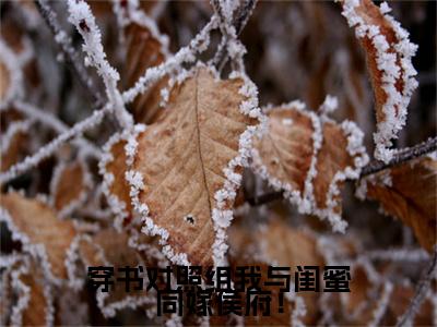 穿书对照组我与闺蜜同嫁侯府！小说全文免费阅读_穿书对照组我与闺蜜同嫁侯府！（顾宸之陶蓁蓁）最新章节列表在线阅读
