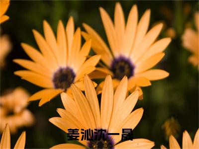姜沁沈一晟姜沁沈一晟抖音热推新书小说全文阅读（姜沁沈一晟）全文免费阅读大结局