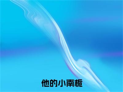 他的小南栀（顾南栀江北笙）全文免费阅读大结局_（顾南栀江北笙免费阅读）他的小南栀全文在线完本阅读