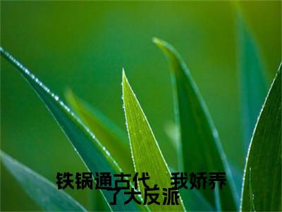 铁锅通古代，我娇养了大反派免费小说（云祁温柠）全本免费阅读-铁锅通古代，我娇养了大反派最新章节列表