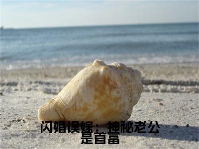 许念最新章节（闪婚误嫁：神秘老公是首富小说）全文免费阅读无弹窗大结局_闪婚误嫁：神秘老公是首富小说免费阅读（许念）