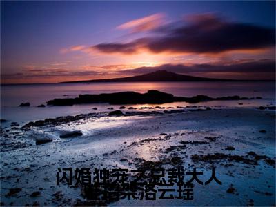 闪婚独宠之总裁大人难招架洛云瑶全文小说（洛云瑶）在线阅读无弹窗大结局_洛云瑶全文在线阅读无弹窗