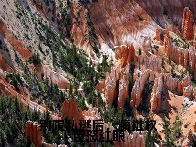 别院私逃后，疯批权臣怒红眼（裴砚忱姜映晚）多人推荐阅读-精选小说（裴砚忱姜映晚）完整版免费阅读