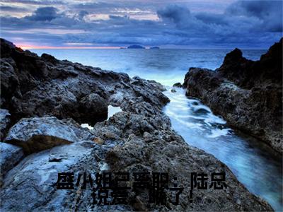 热文（盛小姐已离职：陆总说爱？晚了！）在线阅读-（盛小姐已离职：陆总说爱？晚了！）完整版免费阅读全文最新章节列表_笔趣阁