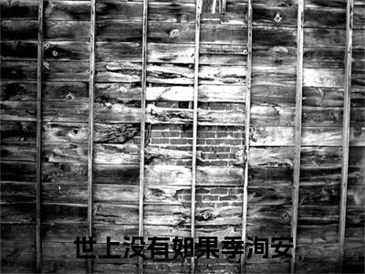 小说世上没有如果季洵安免费在线阅读-小说主角叫季洵安的小说完整版免费读全文