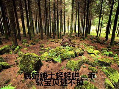 病娇绅士轻轻哄，乖软宝贝逃不掉（姜灼程司司）全文免费阅读无弹窗_（姜灼程司司）小说最新章节列表笔趣阁