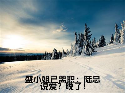 盛小姐已离职：陆总说爱？晚了！（盛眠陆霆枭）小说全文免费阅读无弹窗大结局_盛小姐已离职：陆总说爱？晚了！全文在线阅读无弹窗