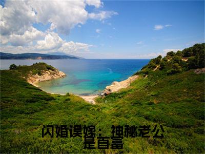 小说闪婚误嫁：神秘老公是首富全文免费阅读无弹窗大结局_（许念）全文在线阅读