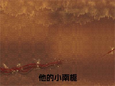 他的小南栀（顾南栀江北笙）全文免费阅读无弹窗大结局_（他的小南栀）顾南栀江北笙全文阅读-笔趣阁