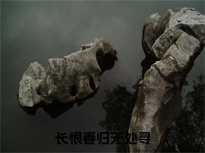 长恨春归无处寻小说顾绍轩凌莞嫣无弹窗免费阅读-最新小说长恨春归无处寻（顾绍轩凌莞嫣）全文阅读