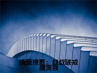 诱爱撩惹：叔叔破戒缠宠我（阮皓晟沈七七）全文免费阅读无弹窗_阮皓晟沈七七最新小说_笔趣阁
