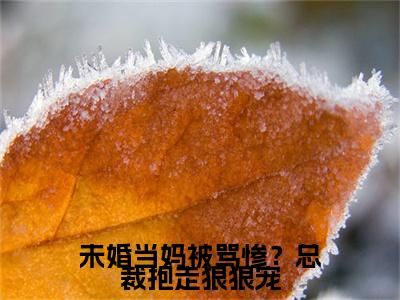 未婚当妈被骂惨？总裁抱走狠狠宠（苏航庄妍）免费小说-苏航庄妍全文阅读目录