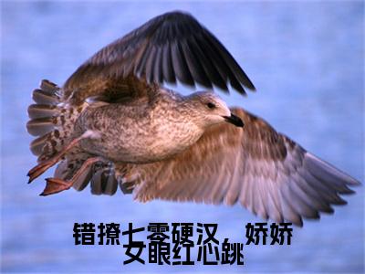 错撩七零硬汉，娇娇女眼红心跳（陆越棠胡藕花）在哪免费看-错撩七零硬汉，娇娇女眼红心跳小说（陆越棠胡藕花）全文完整版免费阅读