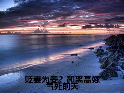 贬妻为妾？和离高嫁气死前夫（东离陆苍云枝）多人推荐阅读-精选小说（东离陆苍云枝）完整版免费阅读