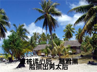 元软（崽被读心后，暴君黑脸抓出男太后）全文免费阅读_（崽被读心后，暴君黑脸抓出男太后）元软最新章节列表_笔趣阁