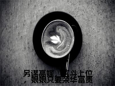 （番外）+（全文）另谋高嫁，宫斗上位，娘娘只要荣华富贵（苏若离陆虔）精彩小说-小说苏若离陆虔全文无删减版免费阅读