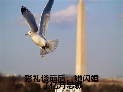 彩礼谈崩后，她闪婚了亿万总裁（南荞）全文免费阅读无弹窗大结局_（南荞）章节列表_笔趣阁