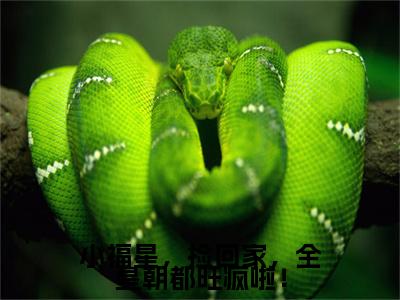 林洛洛（小福星，捡回家，全皇朝都旺疯啦！）小说免费下载全本-林洛洛（小福星，捡回家，全皇朝都旺疯啦！完整版）免费阅读